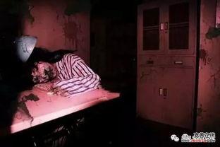 鬼屋 在线观看,在线揭秘恐怖密室惊魂之旅  第3张