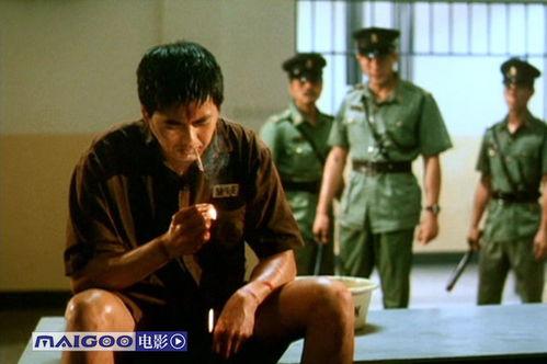 监狱抽烟爆料视频,揭秘禁烟令下的真实困境 第1张 监狱抽烟爆料视频,揭秘禁烟令下的真实困境 第1张